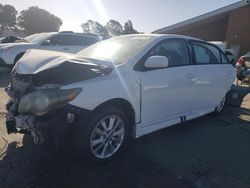 Salvage cars for sale from Copart Hayward, CA: 2010 Toyota Corolla Base