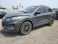 Salvage cars for sale at Mercedes, TX auction: 2020 Ford Escape SE