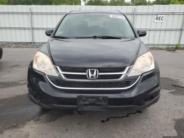 2010 Honda CR-V EXL