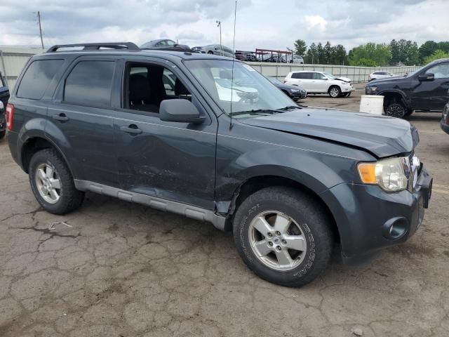 2009 Ford Escape XLT