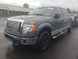 Salvage trucks for sale at New Britain, CT auction: 2010 Ford F150 Supercrew
