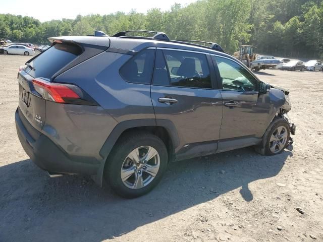 2024 Toyota Rav4 XLE