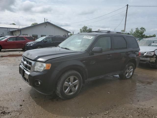 2011 Ford Escape Limited