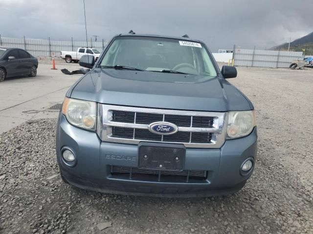 2010 Ford Escape XLT