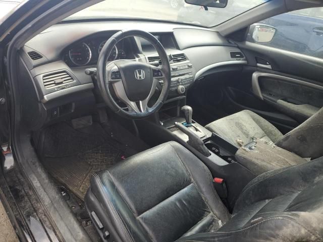 2009 Honda Accord EXL