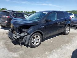 Ford Escape salvage cars for sale: 2014 Ford Escape SE