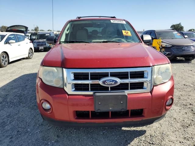 2010 Ford Escape XLT