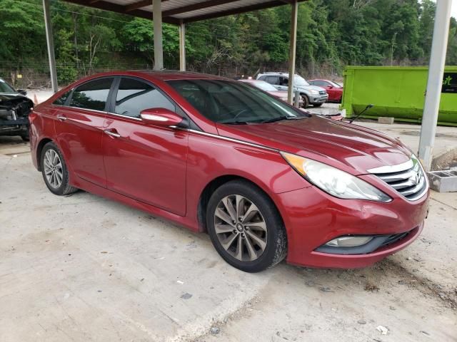 2014 Hyundai Sonata SE