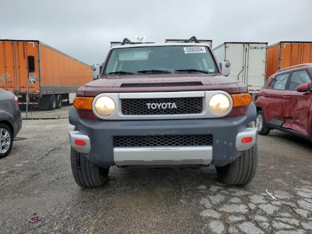 2010 Toyota FJ Cruiser