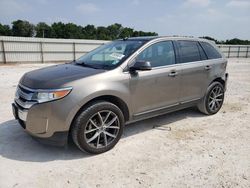 Salvage cars for sale at New Braunfels, TX auction: 2012 Ford Edge Limited
