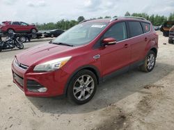 Salvage cars for sale at Lumberton, NC auction: 2014 Ford Escape Titanium