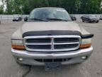 2002 Dodge Dakota Quad SLT