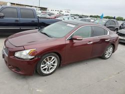 Salvage Cars with No Bids Yet For Sale at auction: 2011 Nissan Maxima S
