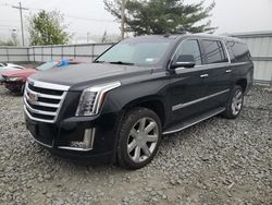 Salvage cars for sale at Windsor, NJ auction: 2019 Cadillac Escalade ESV Luxury