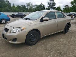Salvage cars for sale from Copart Hampton, VA: 2010 Toyota Corolla Base