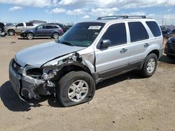 Salvage cars for sale from Copart Brighton, CO: 2007 Ford Escape XLT