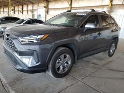 Salvage cars for sale from Copart Phoenix, AZ: 2024 Toyota Rav4 XLE