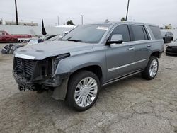 Cadillac salvage cars for sale: 2019 Cadillac Escalade Platinum