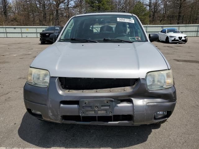 2004 Ford Escape XLT