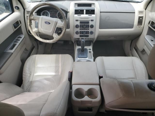 2009 Ford Escape XLT