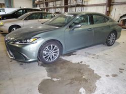 Salvage cars for sale at Eldridge, IA auction: 2019 Lexus ES 350