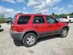 2002 Ford Escape XLT