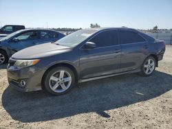 Salvage cars for sale at Antelope, CA auction: 2012 Toyota Camry Base