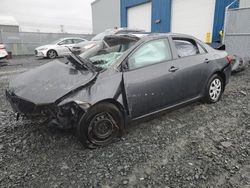 Salvage cars for sale at Elmsdale, NS auction: 2009 Toyota Corolla Base