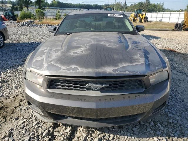 2010 Ford Mustang