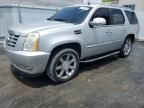 2010 Cadillac Escalade Luxury