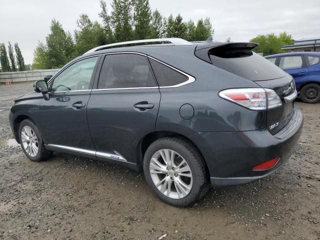 2010 Lexus RX 450