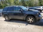 2009 Chevrolet Trailblazer LT