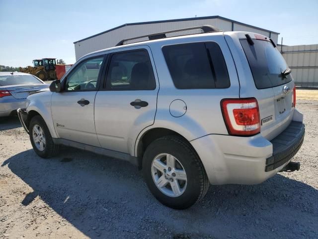 2009 Ford Escape Hybrid