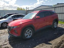 Salvage cars for sale from Copart Albany, NY: 2023 Hyundai Tucson SEL