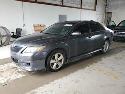 Toyota salvage cars for sale: 2010 Toyota Camry Base