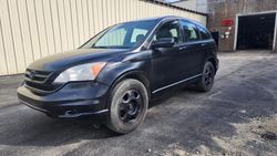 Salvage cars for sale at Candia, NH auction: 2011 Honda CR-V LX