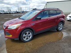 2014 Ford Escape SE en venta en Rocky View County, AB
