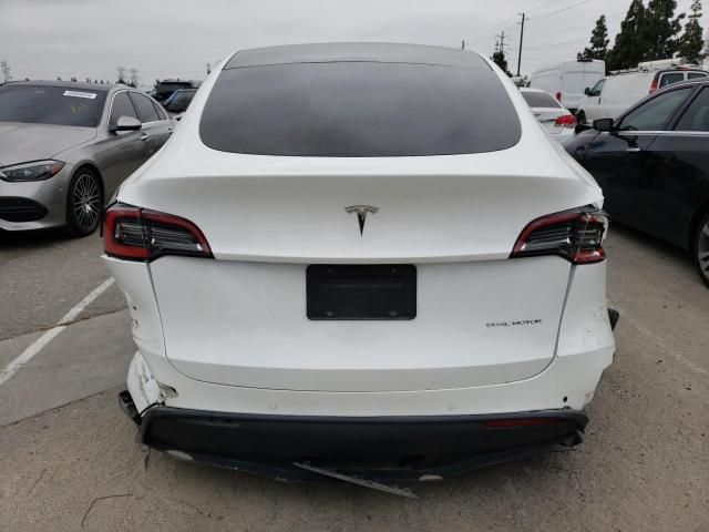 2020 Tesla Model Y