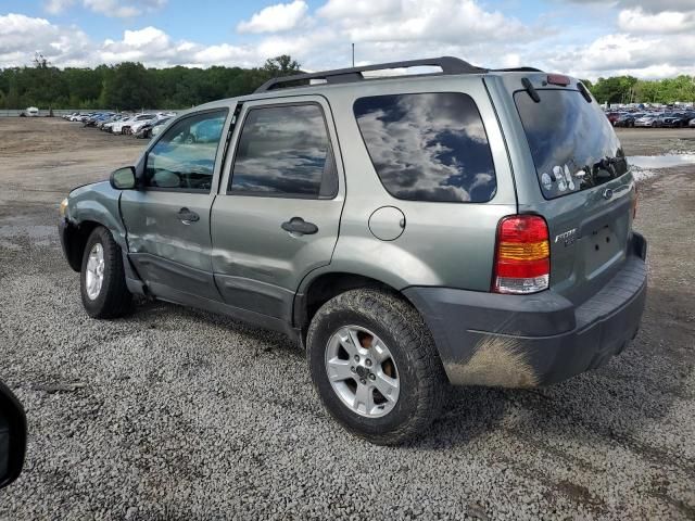 2007 Ford Escape XLT