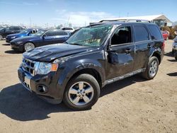 Salvage cars for sale from Copart Brighton, CO: 2012 Ford Escape Limited