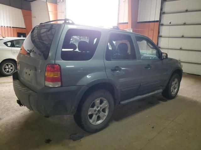 2006 Ford Escape XLT