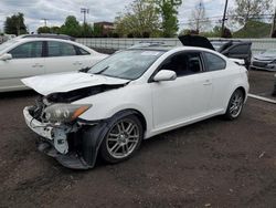 Salvage cars for sale at New Britain, CT auction: 2010 Scion TC
