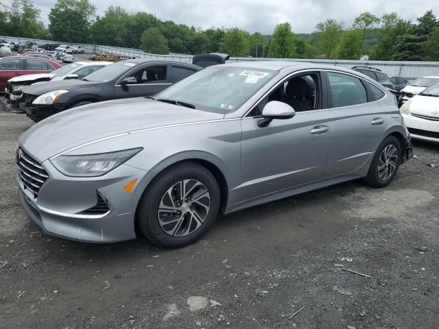 2021 Hyundai Sonata Hybrid