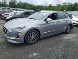 Vehiculos salvage en venta de Copart Grantville, PA: 2021 Hyundai Sonata Hybrid