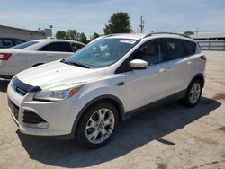 Vehiculos salvage en venta de Copart Lexington, KY: 2014 Ford Escape Titanium