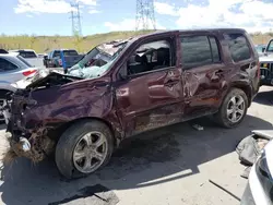 Salvage cars for sale at Brighton, CO auction: 2015 Honda Pilot EXL