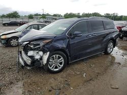 Toyota Sienna salvage cars for sale: 2024 Toyota Sienna Limited