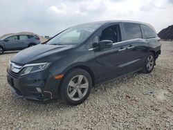 Vehiculos salvage en venta de Copart New Braunfels, TX: 2019 Honda Odyssey EXL