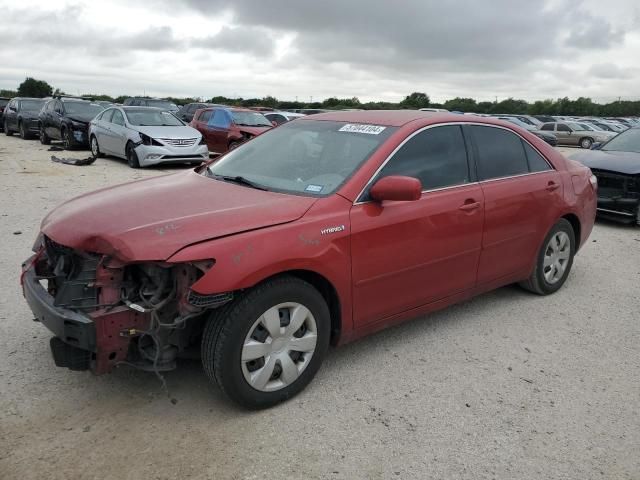 2009 Toyota Camry Hybrid