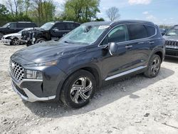 Salvage cars for sale at Cicero, IN auction: 2021 Hyundai Santa FE SEL